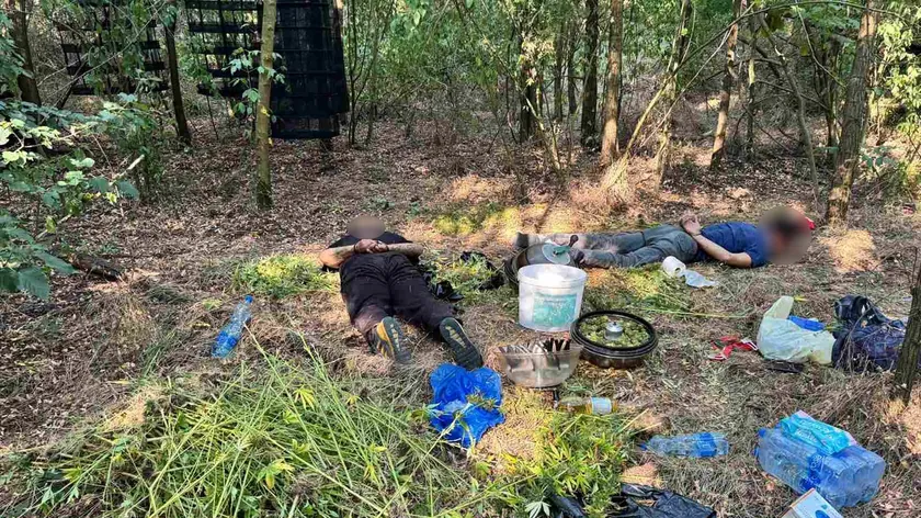 Grocka'da Marihuana Laboratuvarı Bulundu