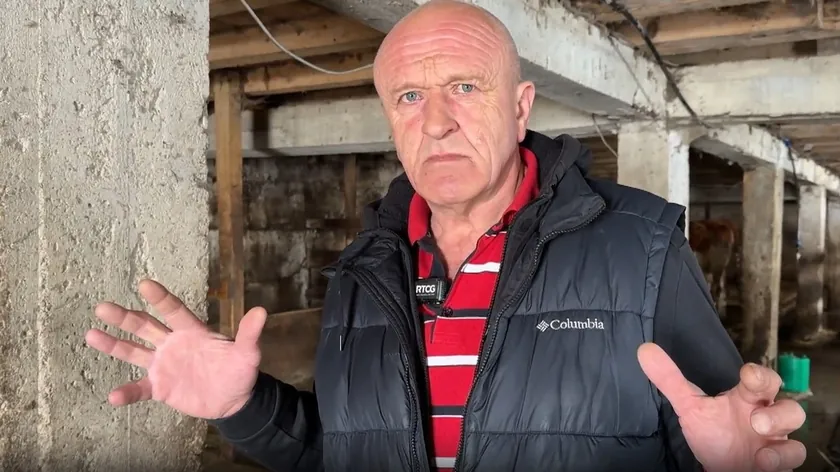 Karadağ'ın Žabljak kentinde ahıra giren kurt çiftçi tarafından serbest bırakıldı