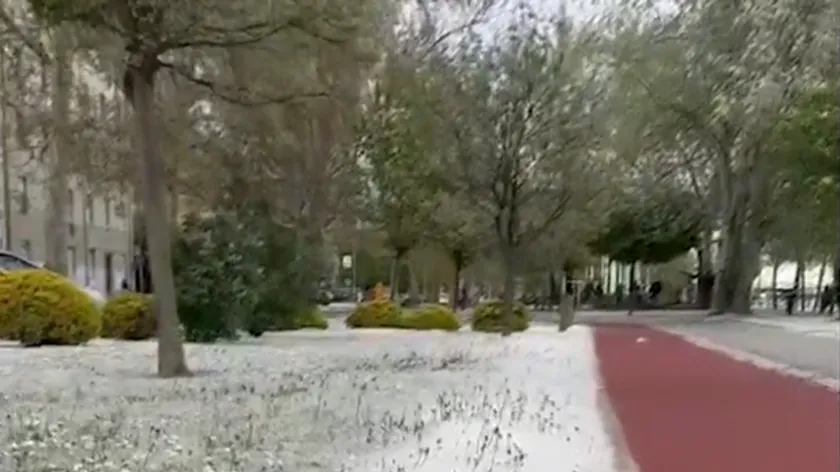 Sırbistan'ın Novi Sad kentinde Nisan ortasında beyaz örtü şaşkınlık yarattı