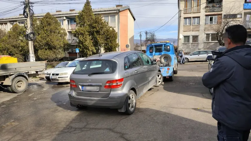 Sırbistan'ın Niş Şehrinde Aleksandra Šarković Cinayetinde Şüpheli Yakalandı