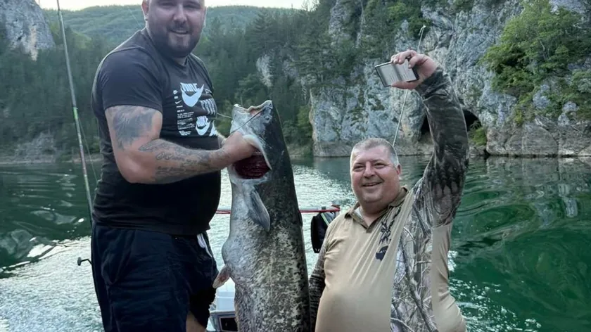 U Sırbistan'da yakalanan 30 kg ağırlığındaki som, ekologları endişelendiriyor.