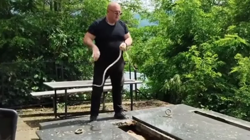 Sırbistan'da Ünlü Yılan Avcısı Mezardan Yılan Çıkardı Görüntüler Viral Oldu