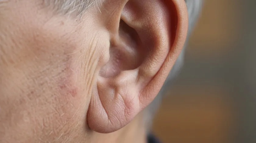 Sırbistan Frank İşareti Kalp Hastalıkları Riski İçin Önemli Bir Gösterge Olarak Vurgulandı