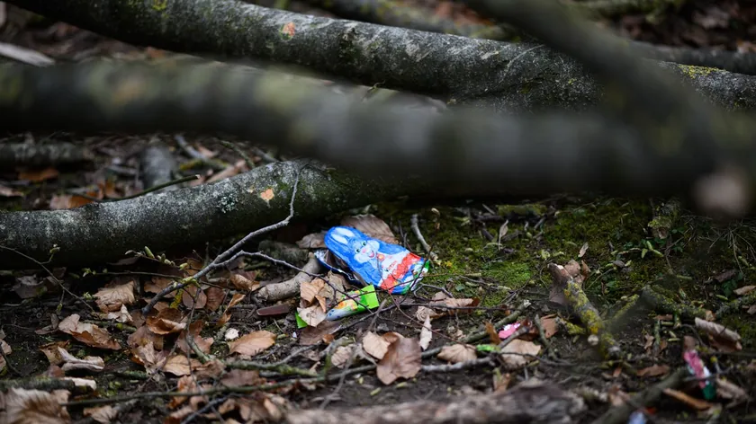 Kuzey Almanya'da Paskalya avı sırasında fırtınada devrilen ağaç üç can aldı.
