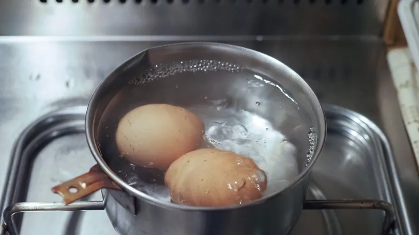 Yumurta Haşlama Suyu Bitkilerinizi Besleyerek Bahçenizde Mucizeler Yaratıyor