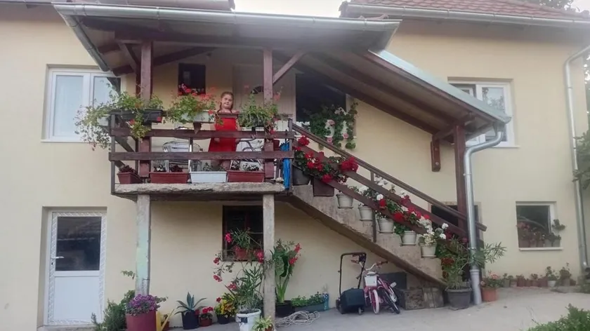 Sırbistan'da 95 kırsal ev daha dağıtıldı, 735 metrekarelik rekor ev Bački Brestovac'ta