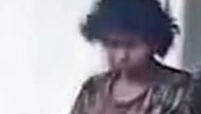 Meroşina'da Milica Asanović'in kaybolmasıyla ilgili aile yardım çağrısında bulundu