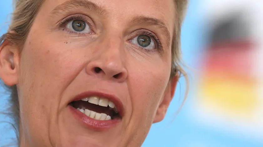 Alis Vajdel, AfD lideri hakkında yeni bir skandal ortaya çıktı.