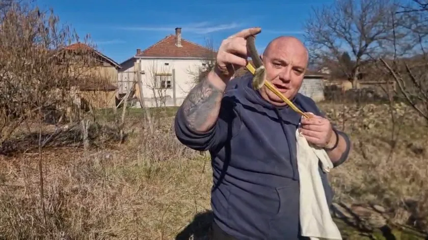 Sırbistan'da Sıra Dışı Sıcaklar Yılanları Erken Uyandırdı Uzmanlar Uyarıyor