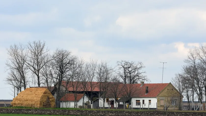 Sırbistan Kırsal Turizm ve Konaklama Sektörüne 2,9 Milyon Dinara Kadar Destek Sağlayacak