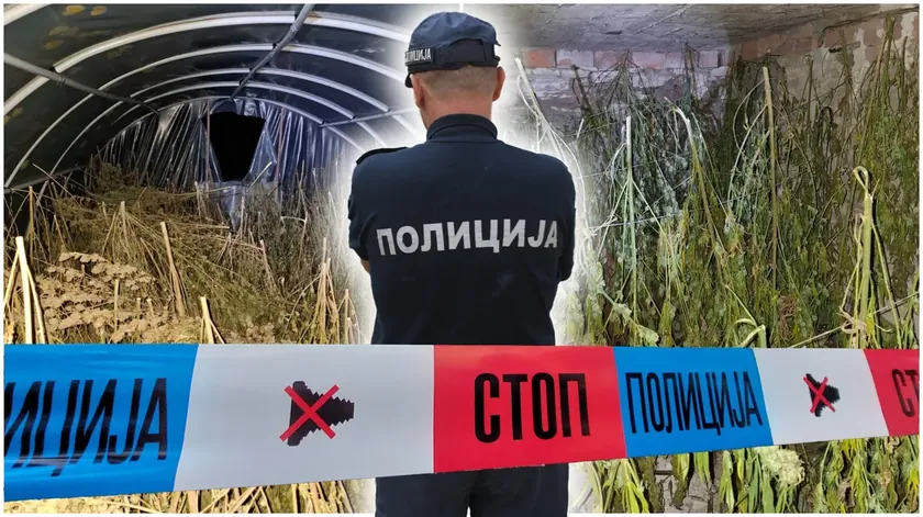 Sırbistan Loznica Yakınlarında Rekor Esrar Ele Geçirildi: Novi Sadlı Şüpheliye İddianame