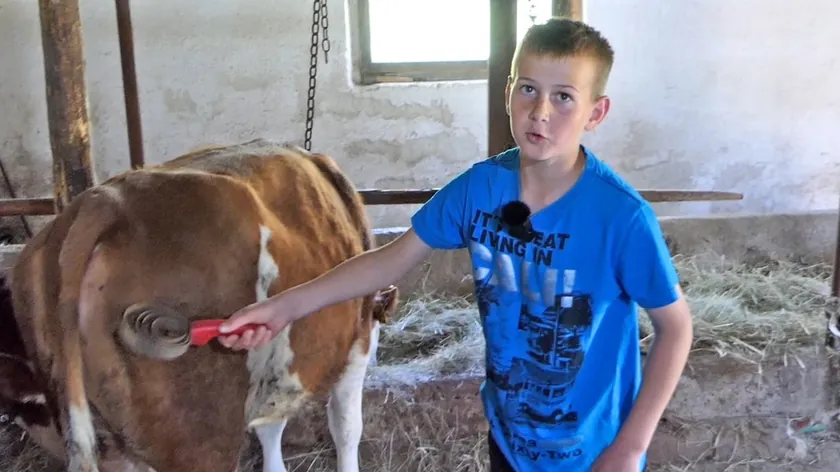 Bosna Hersekli 11 Yaşındaki Asım Ahır Yaşamını Telefona Tercih Ediyor