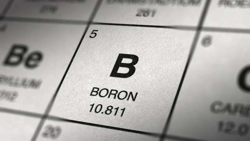 Bor elementinin faydaları, riskleri ve günlük kullanım dozları açıklandı