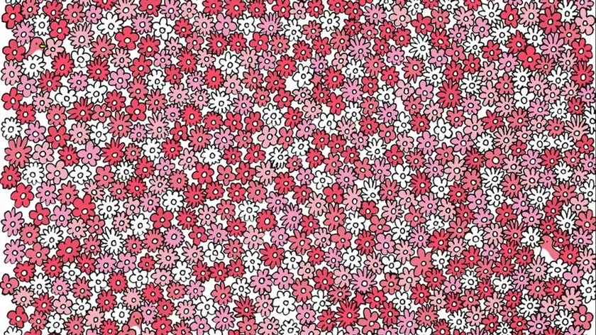 Sırbistan Ajansı Macar Sanatçı Dudolf'un Çiçek Denizi Yıldız Bulmacasını Aktardı