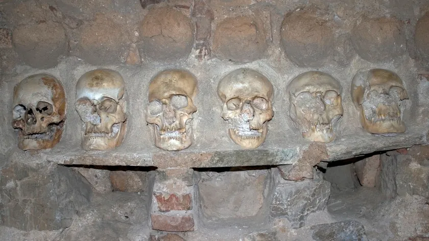 Misterija lica Stevana Sinđelića Yeni görüntüler neyi ortaya çıkaracak?
