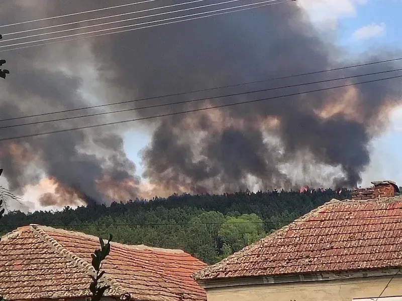 Sırbistan'da Leskovca yakınlarında büyük bir orman yangını çıktı.