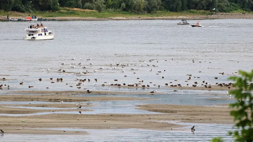 Dunav'da tarihi düşük seviye kaydedildi.