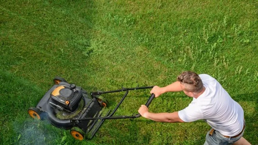 Hırvatistan'da Komşuluk Tartışması: Dini Bayramda Çim Biçme Olayı Sosyal Medyayı Salladı