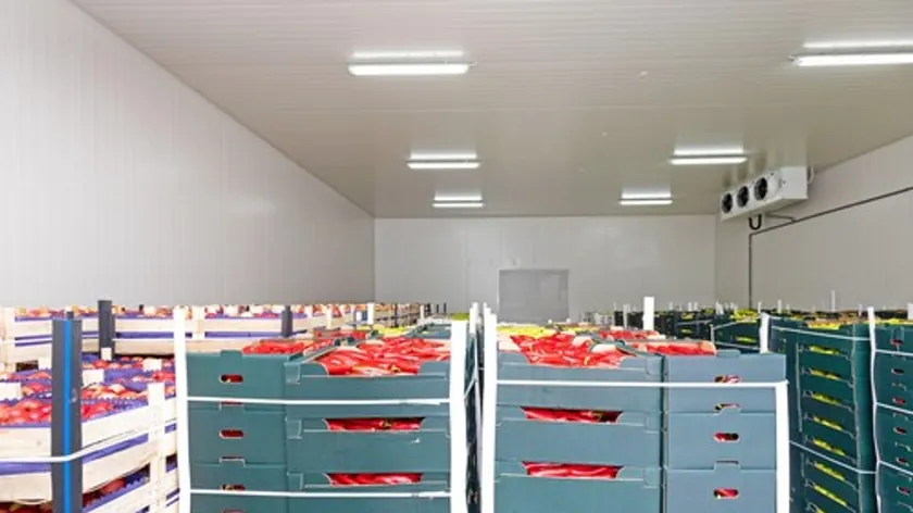 Bologna'da Katering Şirketinde Hijyen İhlalleri: Ölü Fareler ve Son Kullanma Tarihi Geçmiş Gıdalar Ele Geçirildi