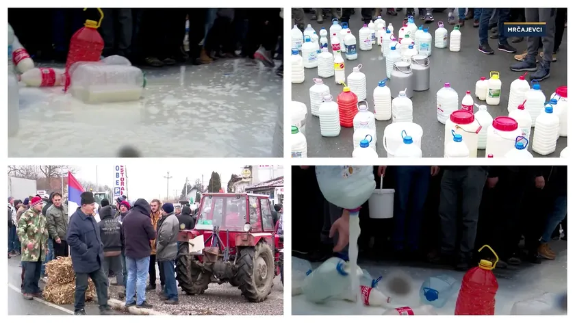 Sırbistan Tarım Bakanlığı süt üreticilerinin desteklerini ve piyasa durumunu açıkladı