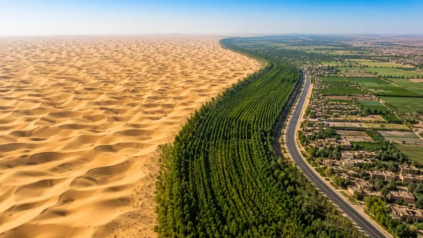 Afrika'da 8.000 kilometre uzunluğunda bir "yeşil duvar" inşa ediliyor - kıtayı ikiye bölecek ama milyonlarca insanın beslenmesine yardımcı olacak