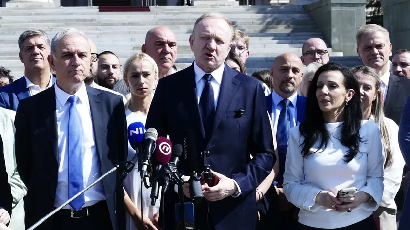 Sırp eski politikacı Ana Stevanović Đukić, Platformu za Evropsku Srbiju'nun (PES) kuruluşunu eleştirdi.
