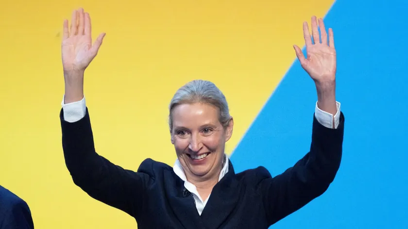 Alis Vajdel AfD'nin lideri olarak radikal adımlar atacağını belirtti.