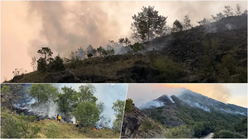 Sırbistan'da MagliÄ tvrâve yakınında çıkan yangın kontrol altına alınamadı.