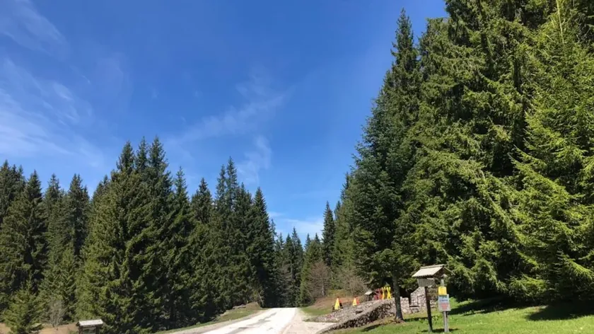 Sırbistan'ın Golija Dağı'nda serin hava ve doğa harikası sunuluyor.