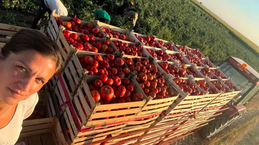 Sırbistan'da bir kadın ev yapımı domates sosu üretiyor.