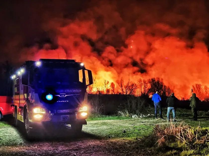 Sırbistan'ın Beočin yakınlarında büyük yangın: Alevler Tuna Nehri'ne ulaştı