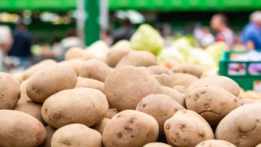 Sırbistan cips ihracatında önemli konumda, patates üretimini artırma potansiyeli vurgulandı.