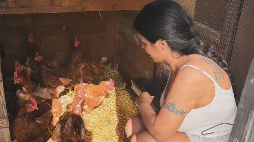 Sırbistan'ın Stara Pazova kasabasındaki villasında kümes kurarak yumurta topladı