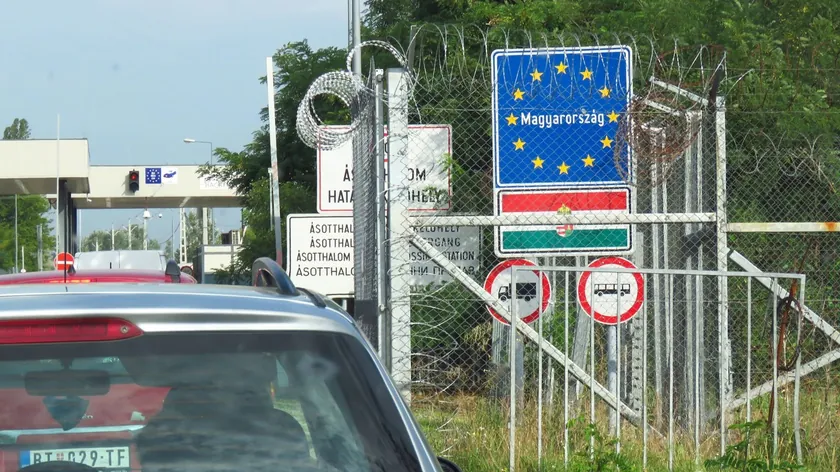 Sırbistan Avrupa Birliği'ne evcil hayvan seyahat kurallarında önemli kolaylıklar elde etti