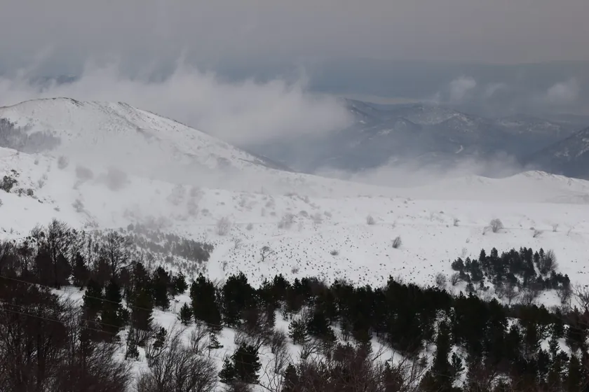 Avganistan'da nevremette 60'tan fazla ölü, 100'den fazla yaralı