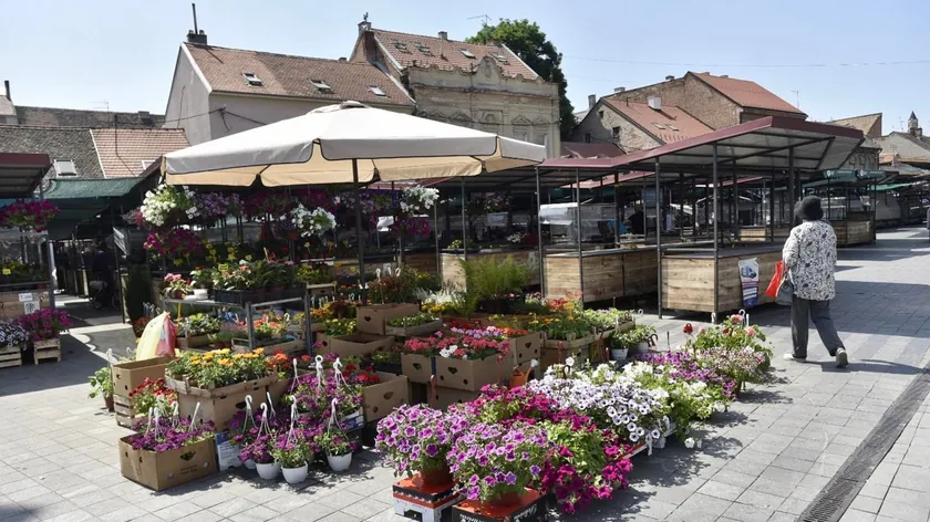 "Bum market" bu hafta sonu Zemun Pazarı'nda düzenlenecek