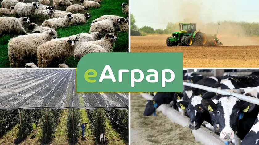 Sırbistan'da eAgrar ile tarım teşvik başvuruları uydu görüntüleriyle 2 Mart'ta başlıyor