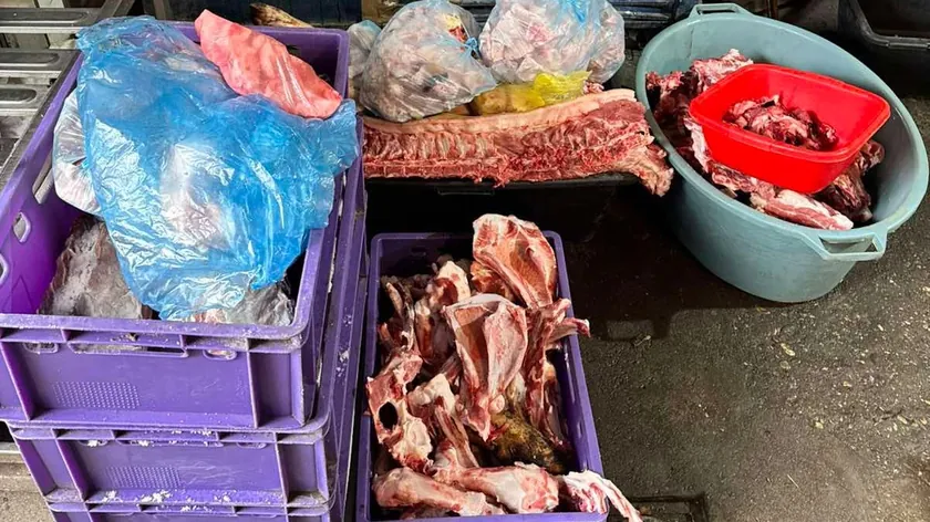 Sırbistan'ın Subotica kentinde yasa dışı kesimhane ortaya çıkarıldı, iki tona yakın bozuk et ele geçirildi