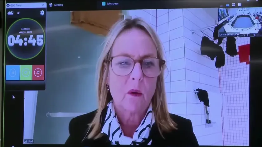 Sırp uzman Džo Galer bir toplantıya Zoom üzerinden katıldı ve arka planında görünen bir çamaşır makinesi dikkat çekti.