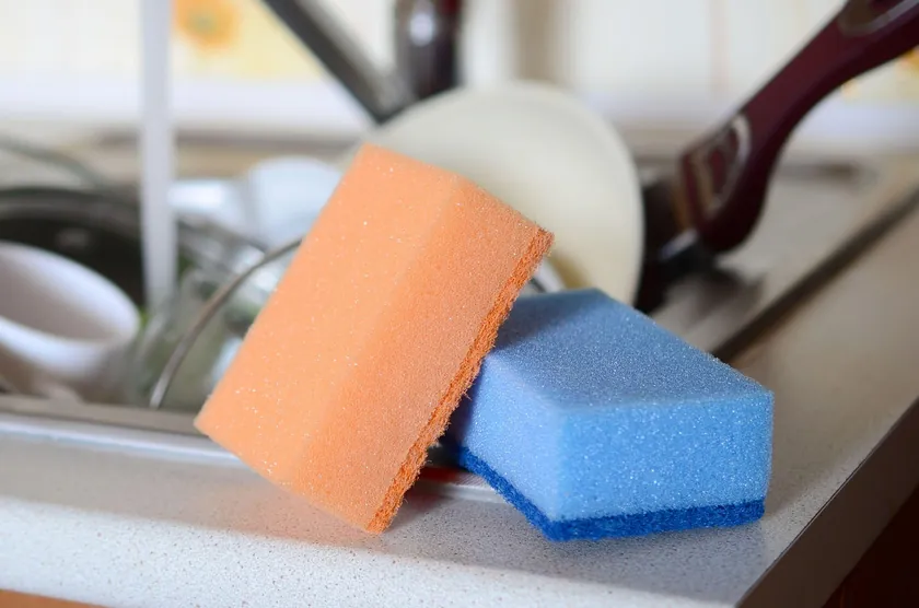 Eski Süngerleri Atmayın: Ocak Ayında Bahçenizi Beslemek İçin Neden Kullanmalısınız