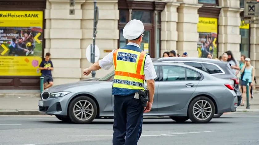 Macaristan'da güvenlik kemerini fare ısırdığını söyleyen sürücüye para cezası uygulandı