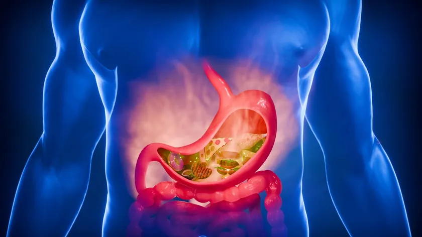 Dışkıda Sindirilmemiş Yemek Neden Olur? Uzmanlar Ne Zaman Tehlikeli Olduğunu Açıkladı