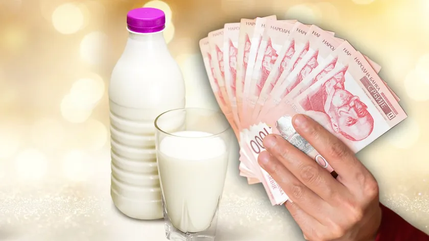 Sırbistan Tarım Ödeme İdaresi süt primi başvuruları için kamu çağrısı başlattı