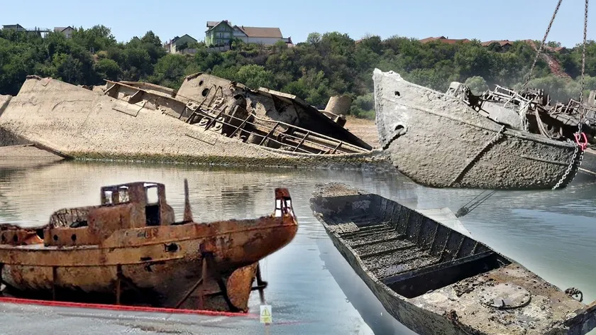 Sırbistan'da Dunav nemiyetli olupinlerin çıkarılmasını engelliyor