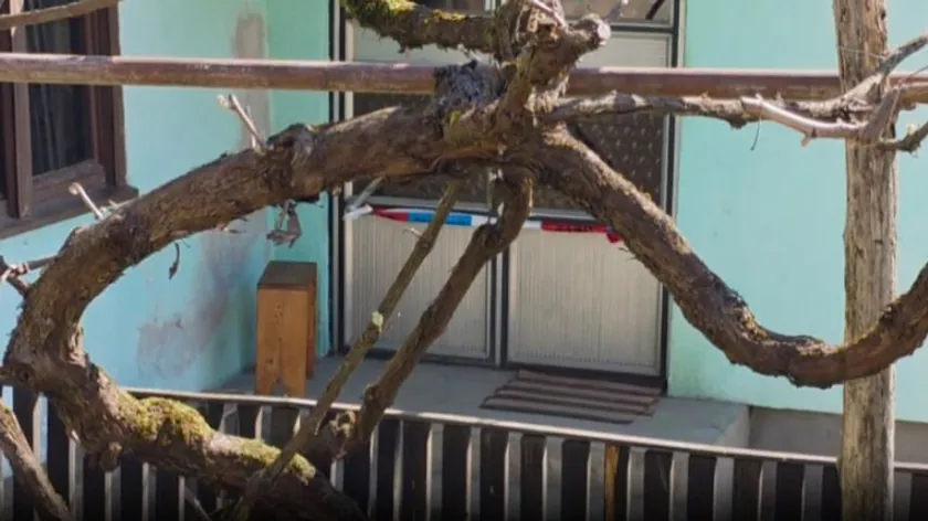 Sırbistan'da eşini öldürmekle suçlanan zanlı sorgusunda sessiz kaldı