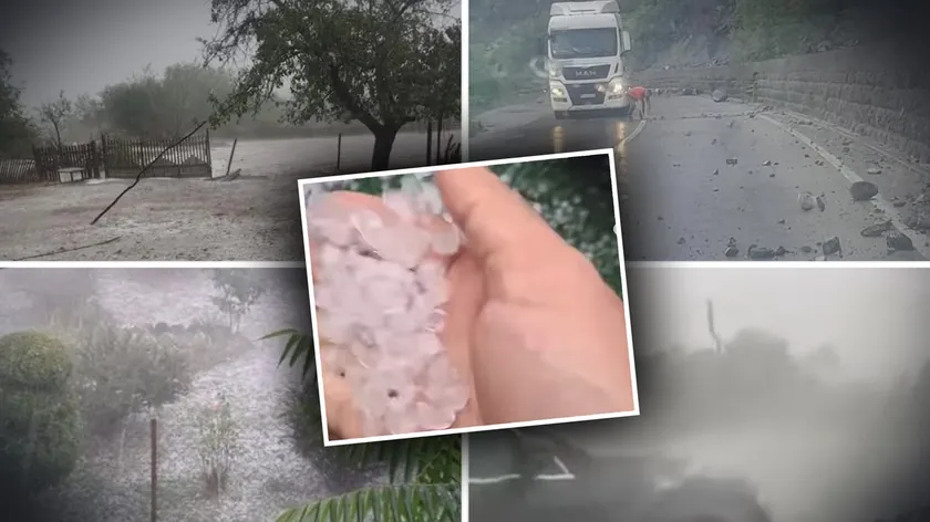 Hırvatistan'da Yolcu Treni Raydan Çıktı, Ağaca Çarptı Üç Yaralı Var