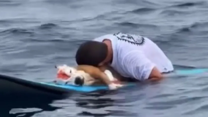 Surfer Dijego Himenez, Kostarika'da köpeğini denizde veda etti Video internette yankılandı.