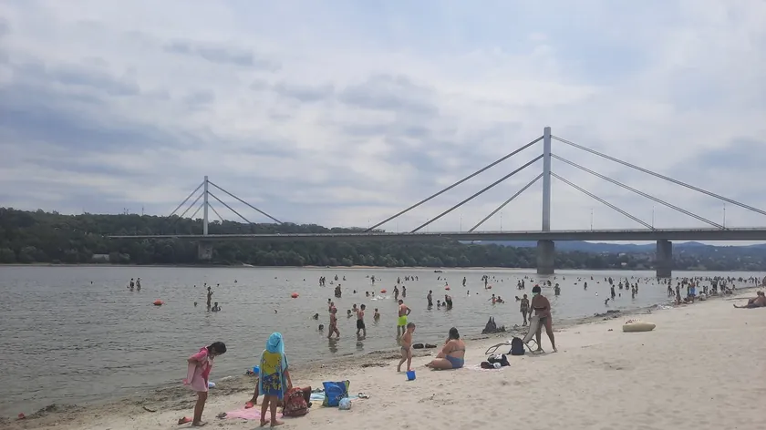 Sırbistan'da Dunav Nehri'nin kalitesi dördüncü sınıfa düştü.