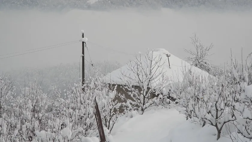 Sırbistan Hükümeti, Ivanjica ve Mačva Bölgesi'ne Sınırsız Gıda Yardımı Gönderdi