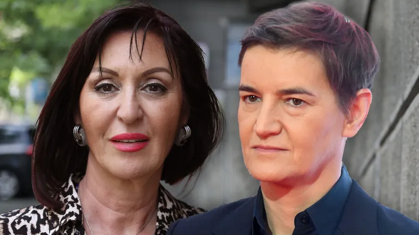Sırbistan Parlamento Başkanı Ana Brnabić, eski savcı Jasmina Paunović'in Sırbistan Cumhurbaşkanı Aleksandar Vučić, ailesi ve Serbest ilerleme Partisi destekçileri hakkında yaptığı yorumları eleştirdi.